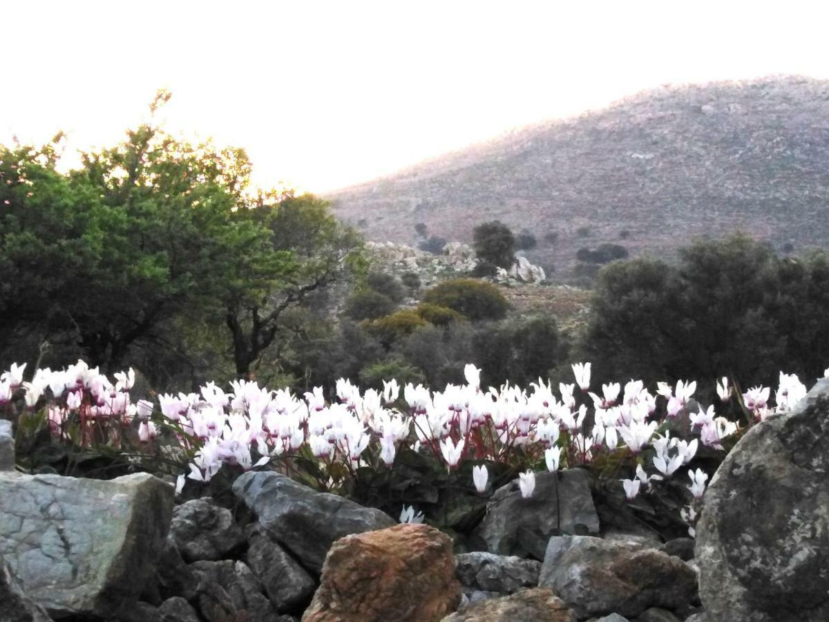 Tilos Island House Megalon Chorion  Exterior photo