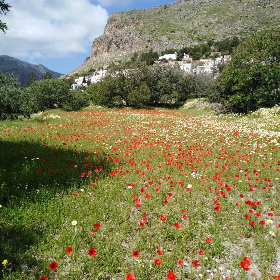 Tilos Island House Megalon Chorion  Exterior photo